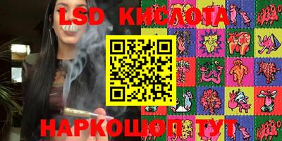 прущие грибы Камышлов