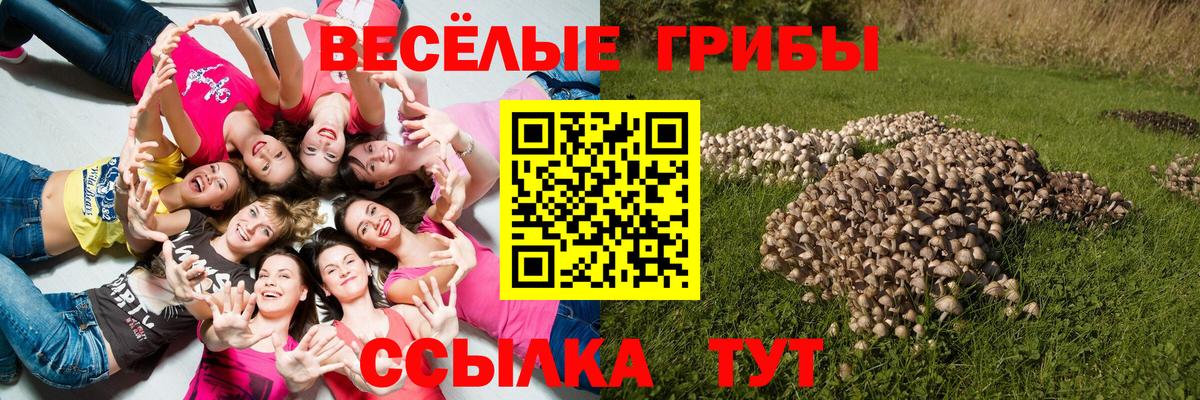Псилоцибиновые грибы GOLDEN TEACHER  Вход с VPN  Галлюциногенные грибы MAGIC MUSHROOMS  Кызыл 
